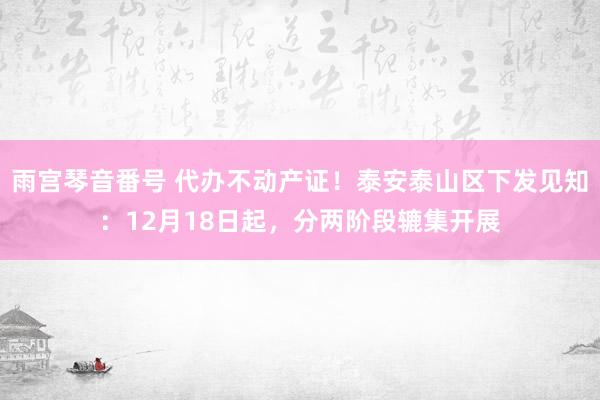 雨宫琴音番号 代办不动产证！泰安泰山区下发见知：12月18日起，分两阶段辘集开展