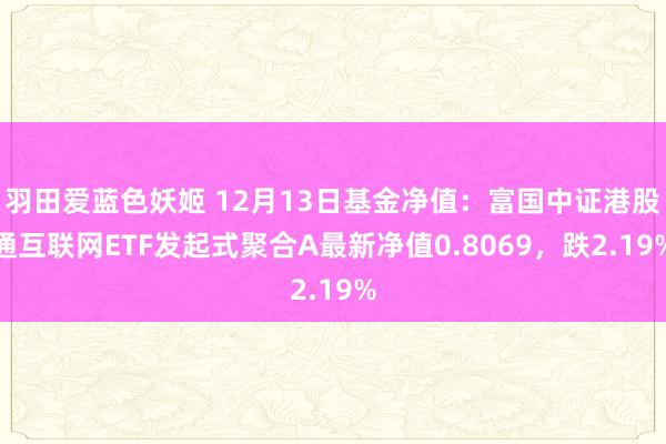 羽田爱蓝色妖姬 12月13日基金净值：富国中证港股通互联网ETF发起式聚合A最新净值0.8069，跌2.19%