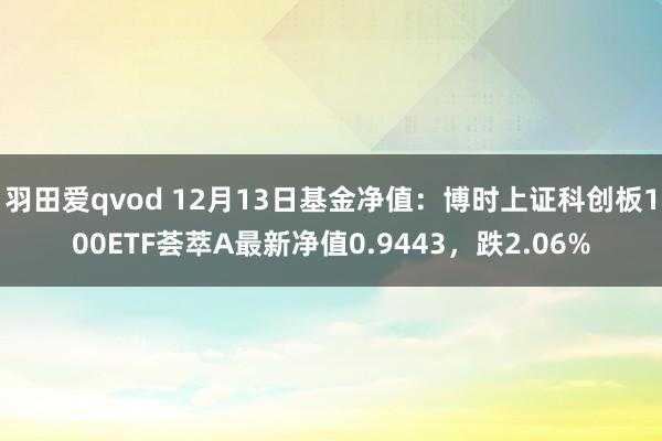 羽田爱qvod 12月13日基金净值：博时上证科创板100ETF荟萃A最新净值0.9443，跌2.06%