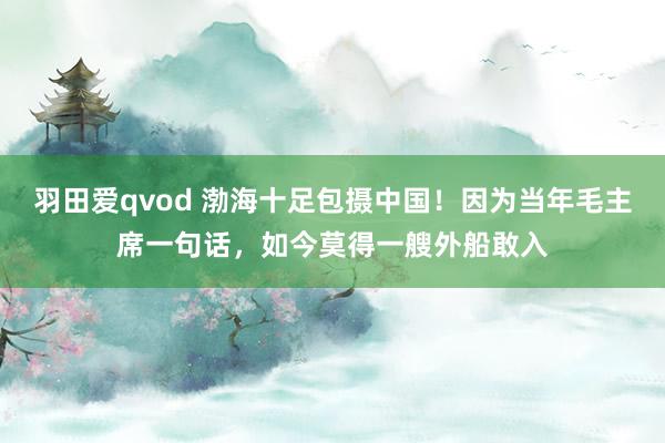 羽田爱qvod 渤海十足包摄中国！因为当年毛主席一句话，如今莫得一艘外船敢入