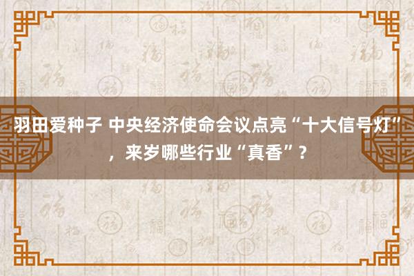 羽田爱种子 中央经济使命会议点亮“十大信号灯”，来岁哪些行业“真香”？