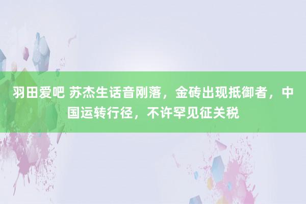 羽田爱吧 苏杰生话音刚落，金砖出现抵御者，中国运转行径，不许罕见征关税