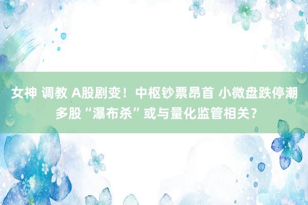 女神 调教 A股剧变！中枢钞票昂首 小微盘跌停潮 多股“瀑布杀”或与量化监管相关？