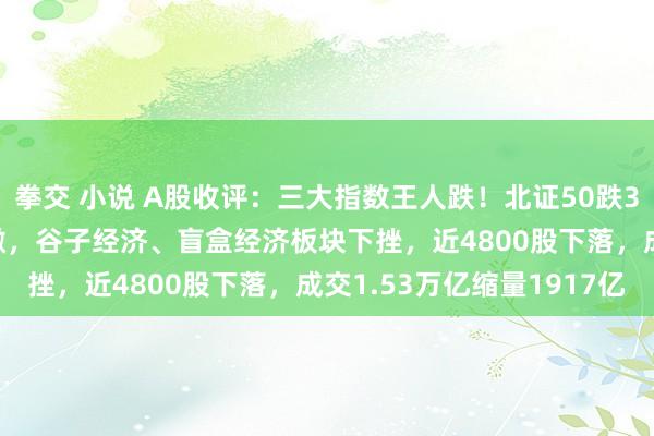 拳交 小说 A股收评：三大指数王人跌！北证50跌3.22%，高位股集体回撤，谷子经济、盲盒经济板块下挫，近4800股下落，成交1.53万亿缩量1917亿