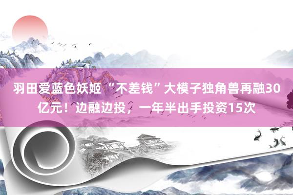 羽田爱蓝色妖姬 “不差钱”大模子独角兽再融30亿元！边融边投，一年半出手投资15次