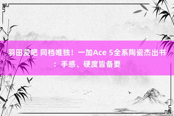 羽田爱吧 同档唯独！一加Ace 5全系陶瓷杰出书：手感、硬度皆备要