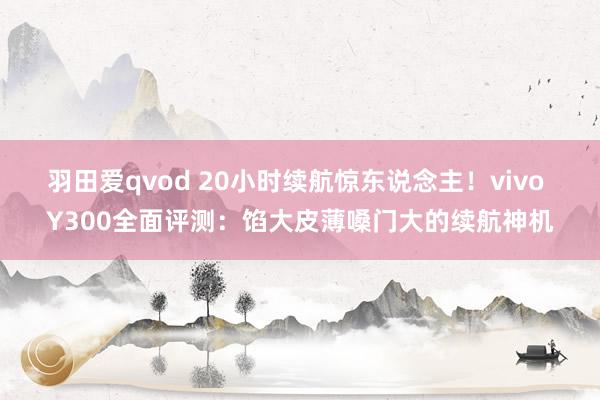 羽田爱qvod 20小时续航惊东说念主！vivo Y300全面评测：馅大皮薄嗓门大的续航神机