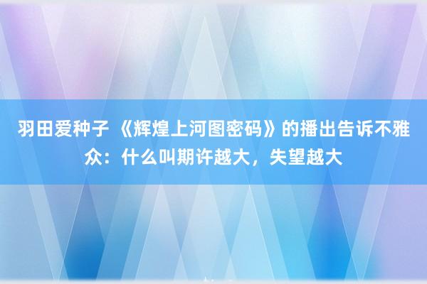 羽田爱种子 《辉煌上河图密码》的播出告诉不雅众：什么叫期许越大，失望越大