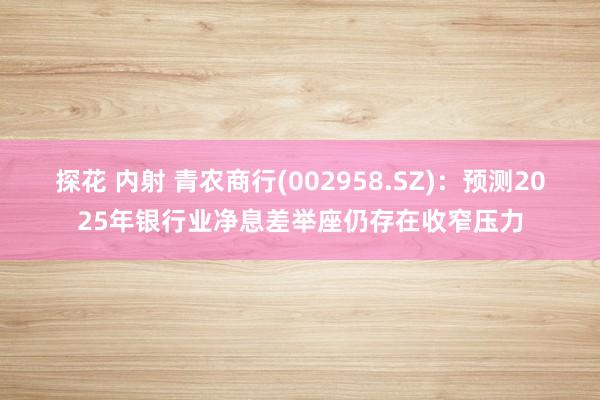 探花 内射 青农商行(002958.SZ)：预测2025年银行业净息差举座仍存在收窄压力