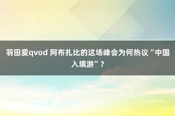 羽田爱qvod 阿布扎比的这场峰会为何热议“中国入境游”？