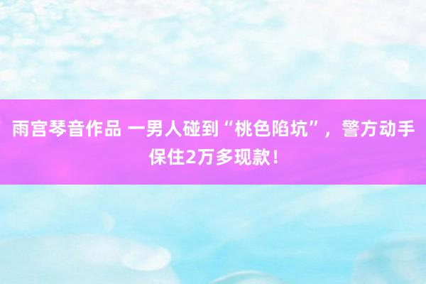 雨宫琴音作品 一男人碰到“桃色陷坑”，警方动手保住2万多现款！