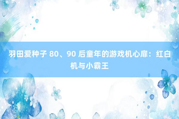 羽田爱种子 80、90 后童年的游戏机心扉：红白机与小霸王