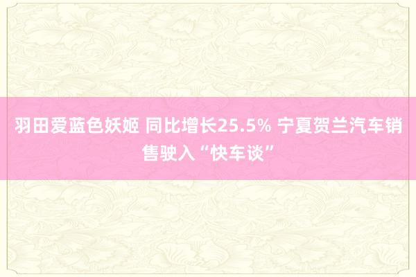 羽田爱蓝色妖姬 同比增长25.5% 宁夏贺兰汽车销售驶入“快车谈”