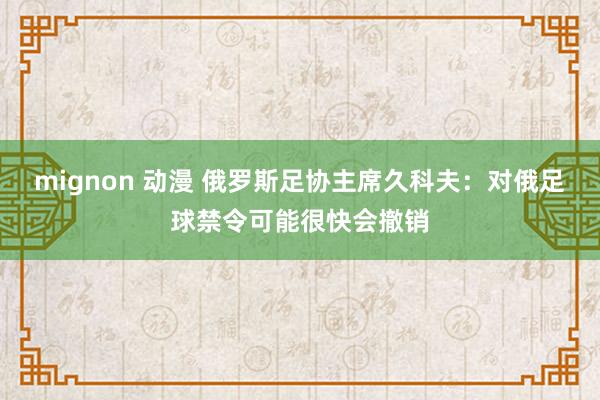 mignon 动漫 俄罗斯足协主席久科夫：对俄足球禁令可能很快会撤销