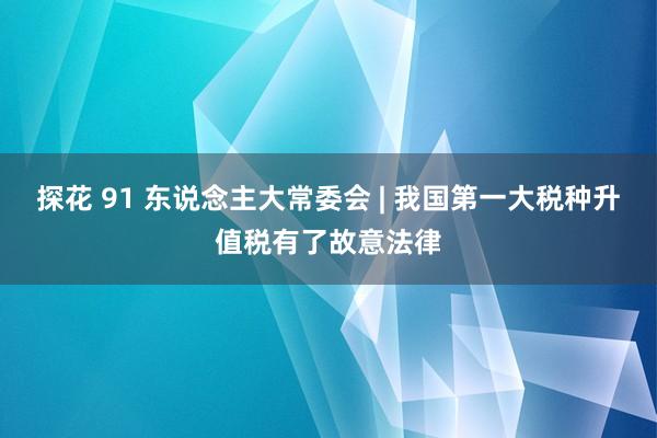 探花 91 东说念主大常委会 | 我国第一大税种升值税有了故意法律