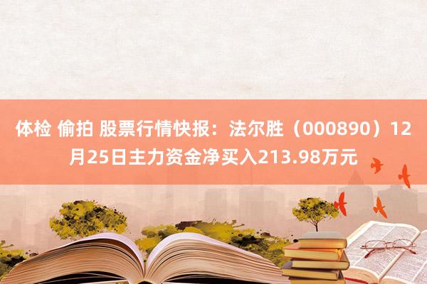 体检 偷拍 股票行情快报：法尔胜（000890）12月25日主力资金净买入213.98万元