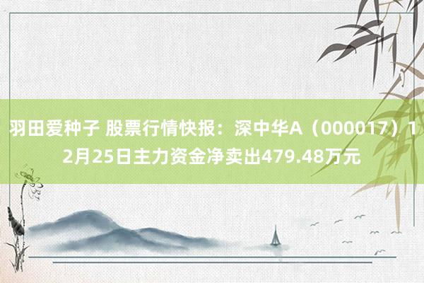 羽田爱种子 股票行情快报：深中华A（000017）12月25日主力资金净卖出479.48万元