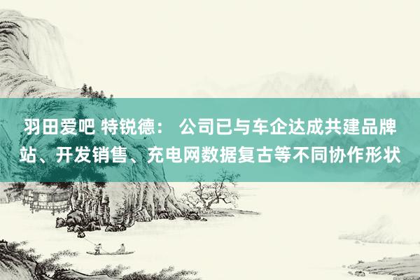 羽田爱吧 特锐德： 公司已与车企达成共建品牌站、开发销售、充电网数据复古等不同协作形状