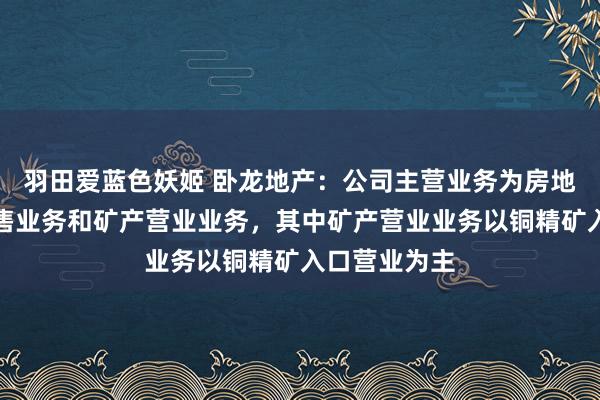 羽田爱蓝色妖姬 卧龙地产：公司主营业务为房地产树立与销售业务和矿产营业业务，其中矿产营业业务以铜精矿入口营业为主