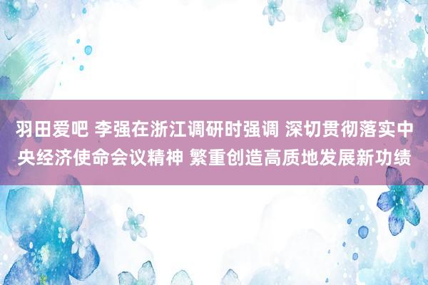 羽田爱吧 李强在浙江调研时强调 深切贯彻落实中央经济使命会议精神 繁重创造高质地发展新功绩