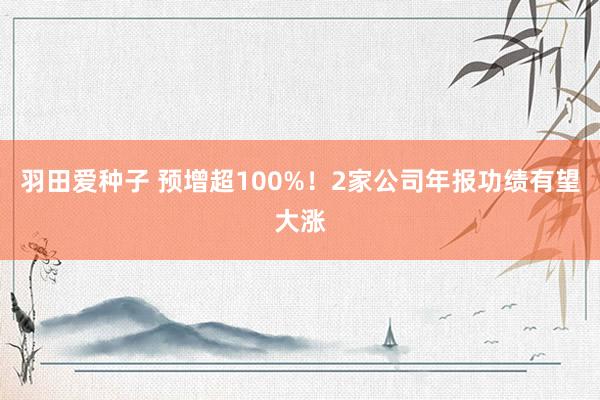 羽田爱种子 预增超100%！2家公司年报功绩有望大涨