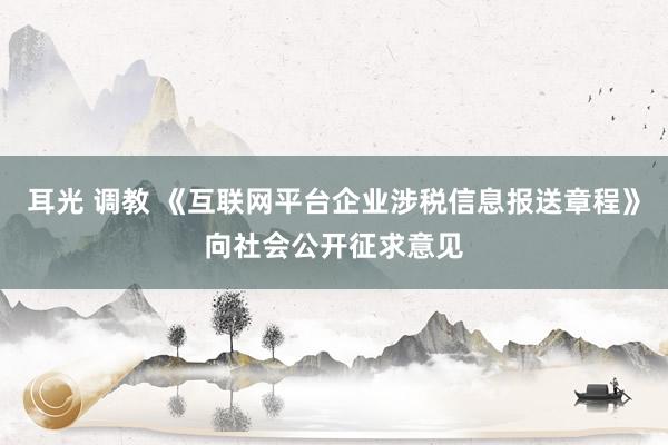 耳光 调教 《互联网平台企业涉税信息报送章程》向社会公开征求意见