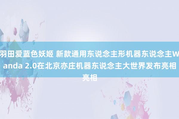 羽田爱蓝色妖姬 新款通用东说念主形机器东说念主Wanda 2.0在北京亦庄机器东说念主大世界发布亮相