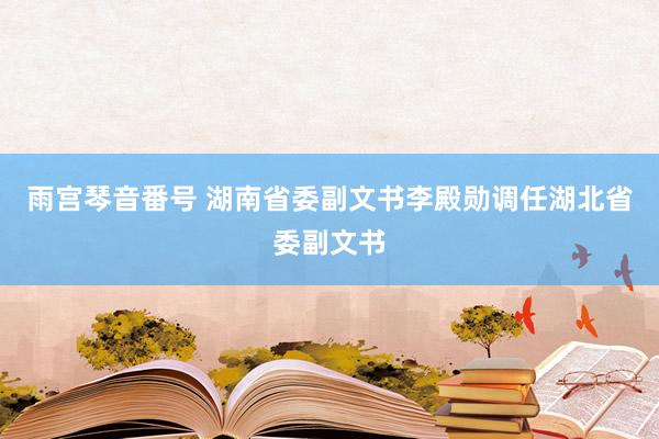 雨宫琴音番号 湖南省委副文书李殿勋调任湖北省委副文书