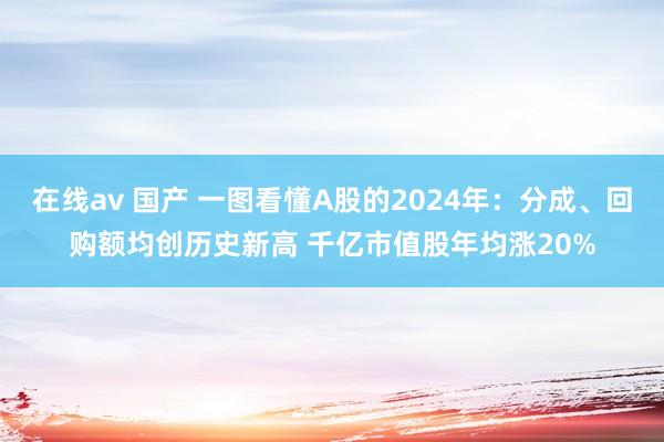 在线av 国产 一图看懂A股的2024年：分成、回购额均创历史新高 千亿市值股年均涨20%