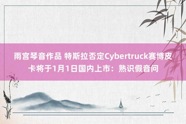 雨宫琴音作品 特斯拉否定Cybertruck赛博皮卡将于1月1日国内上市：熟识假音问