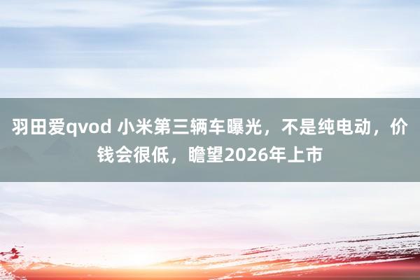 羽田爱qvod 小米第三辆车曝光，不是纯电动，价钱会很低，瞻望2026年上市