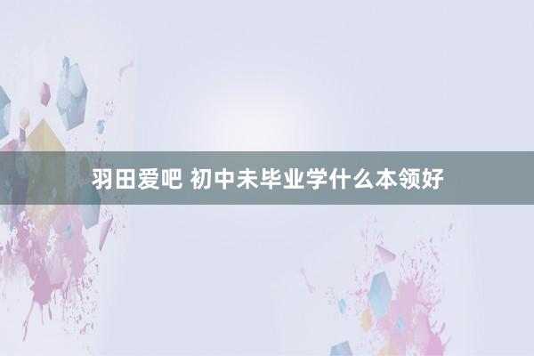 羽田爱吧 初中未毕业学什么本领好