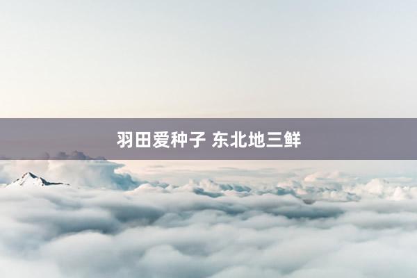 羽田爱种子 东北地三鲜