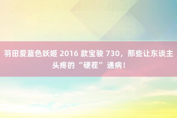 羽田爱蓝色妖姬 2016 款宝骏 730，那些让东谈主头疼的 “硬茬” 通病！