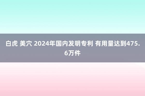 白虎 美穴 2024年国内发明专利 有用量达到475.6万件