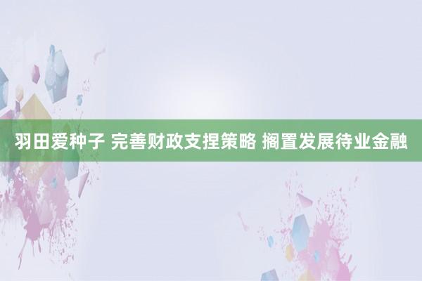 羽田爱种子 完善财政支捏策略 搁置发展待业金融