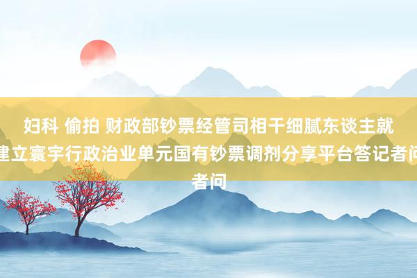 妇科 偷拍 财政部钞票经管司相干细腻东谈主就建立寰宇行政治业单元国有钞票调剂分享平台答记者问