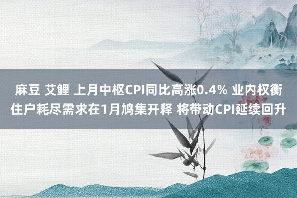 麻豆 艾鲤 上月中枢CPI同比高涨0.4% 业内权衡住户耗尽需求在1月鸠集开释 将带动CPI延续回升