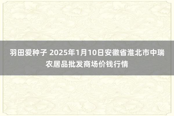 羽田爱种子 2025年1月10日安徽省淮北市中瑞农居品批发商场价钱行情