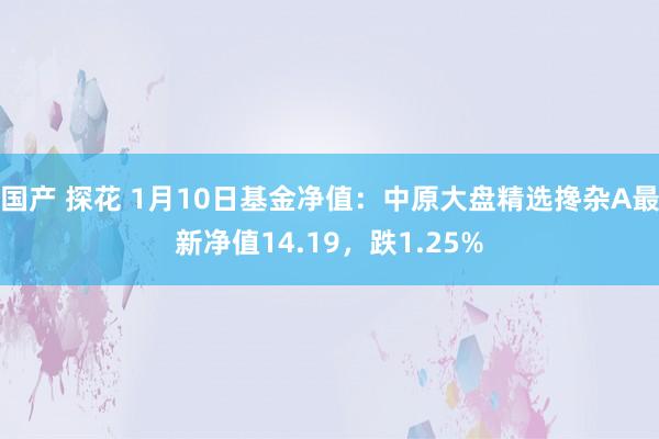 国产 探花 1月10日基金净值：中原大盘精选搀杂A最新净值14.19，跌1.25%