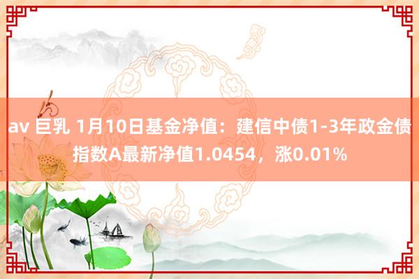 av 巨乳 1月10日基金净值：建信中债1-3年政金债指数A最新净值1.0454，涨0.01%