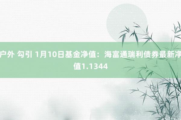 户外 勾引 1月10日基金净值：海富通瑞利债券最新净值1.1344