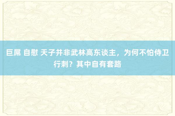 巨屌 自慰 天子并非武林高东谈主，为何不怕侍卫行刺？其中自有套路