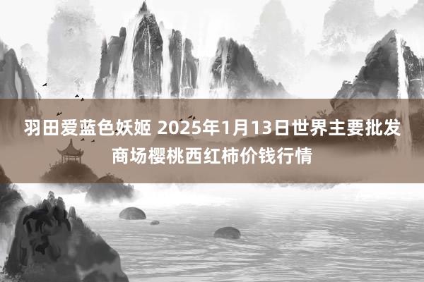 羽田爱蓝色妖姬 2025年1月13日世界主要批发商场樱桃西红柿价钱行情