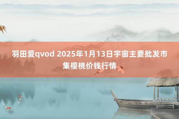 羽田爱qvod 2025年1月13日宇宙主要批发市集樱桃价钱行情