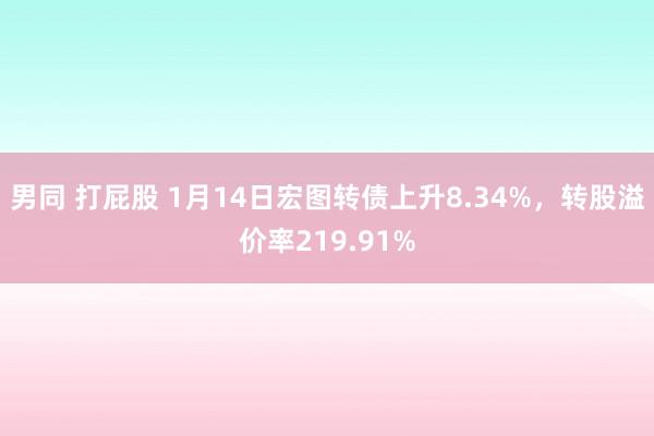 男同 打屁股 1月14日宏图转债上升8.34%，转股溢价率219.91%