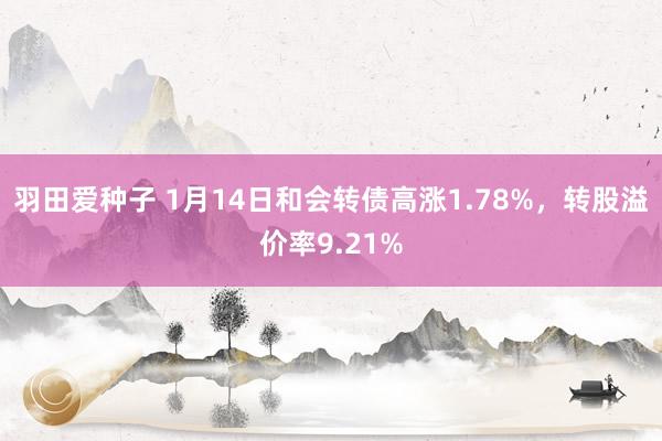 羽田爱种子 1月14日和会转债高涨1.78%，转股溢价率9.21%