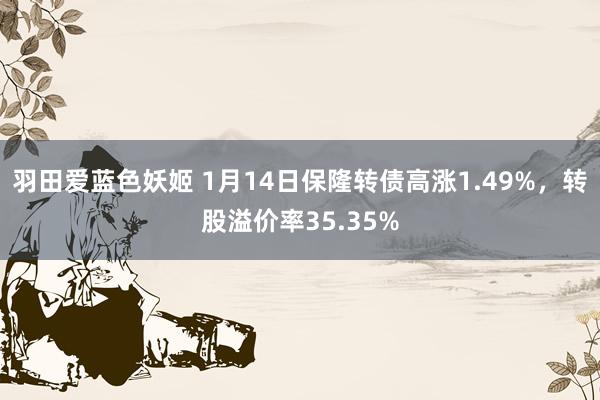 羽田爱蓝色妖姬 1月14日保隆转债高涨1.49%，转股溢价率35.35%