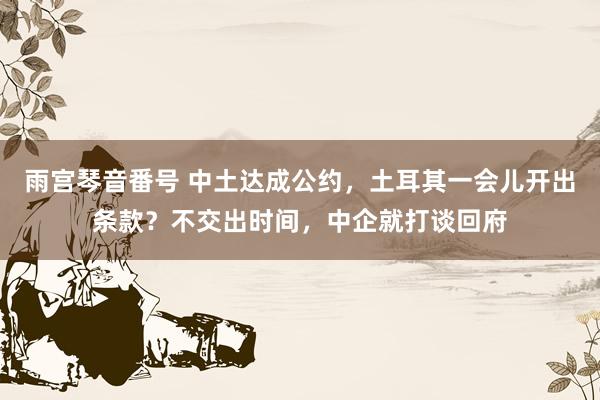 雨宫琴音番号 中土达成公约，土耳其一会儿开出条款？不交出时间，中企就打谈回府