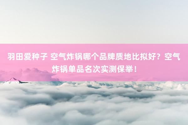 羽田爱种子 空气炸锅哪个品牌质地比拟好？空气炸锅单品名次实测保举！